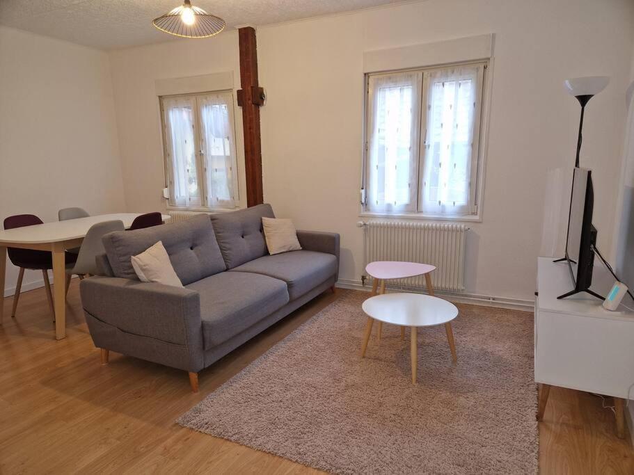 Appartement Le Grillenbreit Colmar Exteriér fotografie